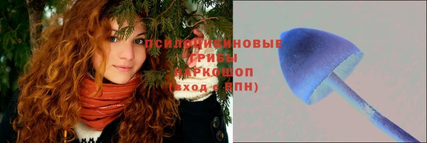 COCAINE Белокуриха