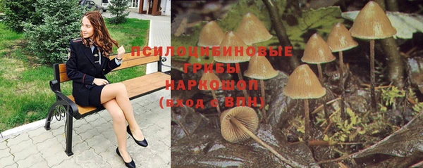 COCAINE Белокуриха