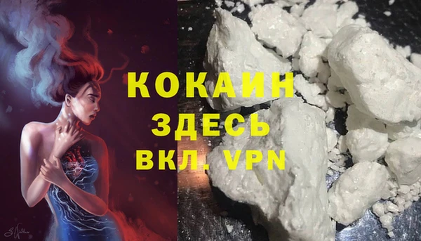 2c-b Бородино
