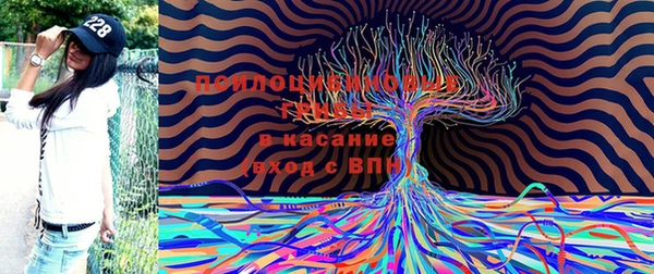 2c-b Бородино
