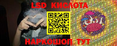 винт Новозыбков