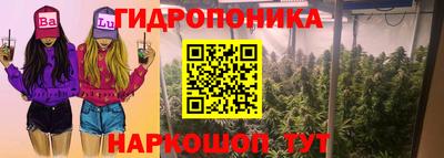 наркотики Новодвинск