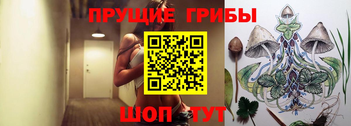Псилоцибиновые грибы прущие грибы Северск
